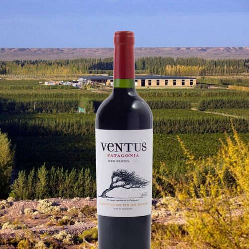 Vino Ventus Corte Tinto 1x750 Ml - Bod Fin Del Mundo