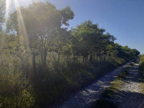 Finca/rancho En Venta En El Fraile