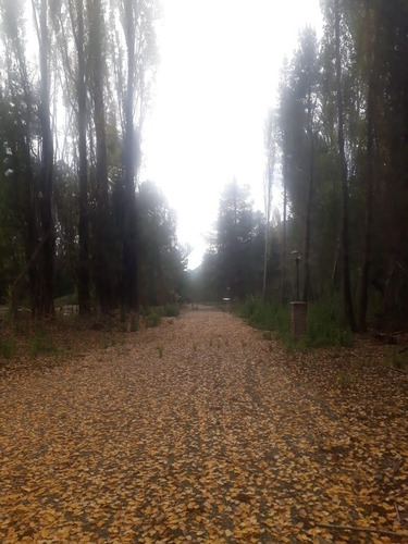 Imagen 22 de 25 de Lotes Desde 1800m2 A 2700m2 - Villa Del Lago - Lago Puelo - Chubut - ( Gas Natural, Ee Y Agua Potable De Red) Escritura Individual Inmediata! Terrenos!