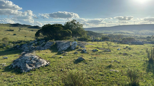 Chacra Ruta 39, Sierra De Los Caracoles.