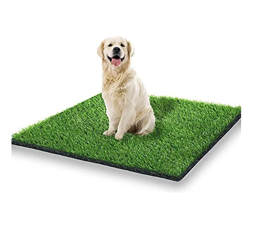 Alfombra De Césped Para Perros De Entrenamiento Para El Baño