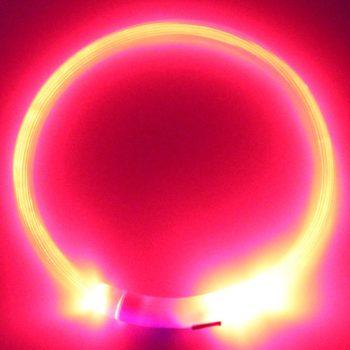 Collar Para Pasear Perros Con Luz Led Recargable Con Usb