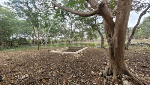 Rancho En Venta En Kinchil Yucatán