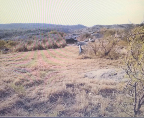 Imagen 7 de 22 de Campo En Río Hondo Mina Clavero