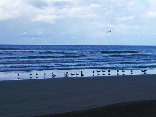 Terreno En Venta En Playa Novillero, Tevuala, Nayarit Mexico