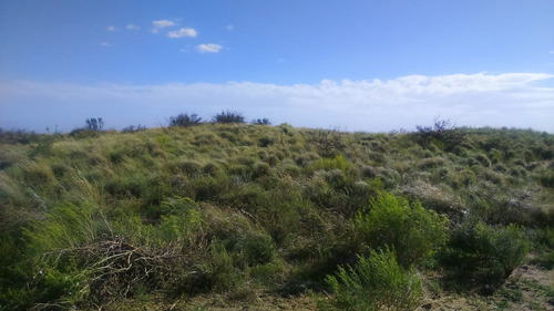 Imagen 6 de 19 de Campo 5000 Ha En El Dpto. Limay Mahuida- La Pampa