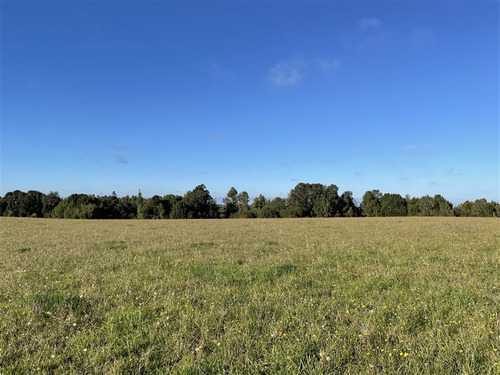 Campo Agrícola En Venta En Los Muermos