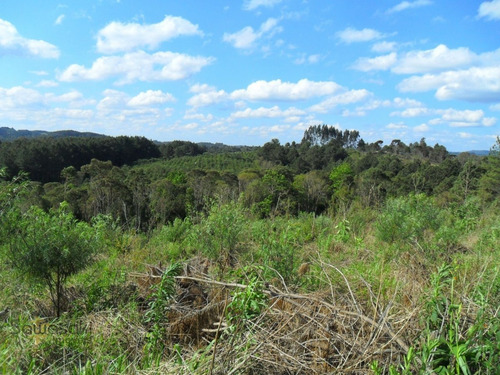 Imagem 9 de 11 de Terreno Lote Para Venda Em Centro Mandirituba-pr - 5702