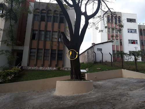Apartamento Com 3 Quartos Para Comprar No Califórnia Em Belo Horizonte/mg - Ec17219