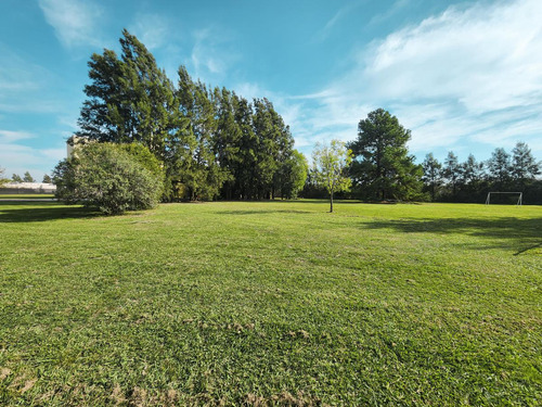 Terreno Sobre Ruta 34 Con 1750m2, Ibarlucea