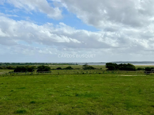 Chacra En Venta De 1 Ha. En Jose Ignacio, Zona Medellin