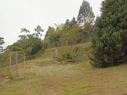 Imagen 7 de 16 de Terrenos En Venta
