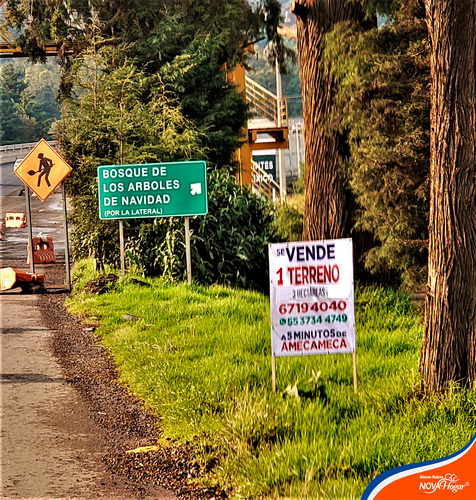 Terreno En Venta Casi Plano Cercano A Amecameca