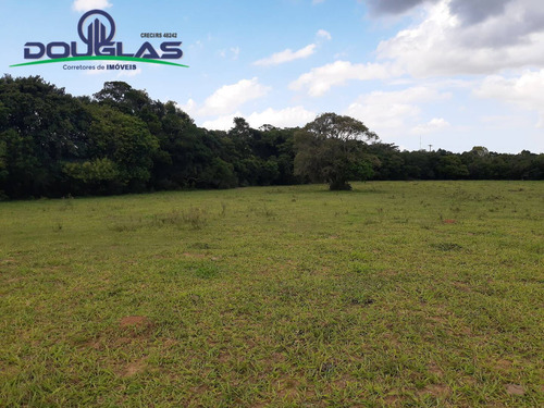 Lindo Sítio 2 Hectares Ótima Localização - 1535
