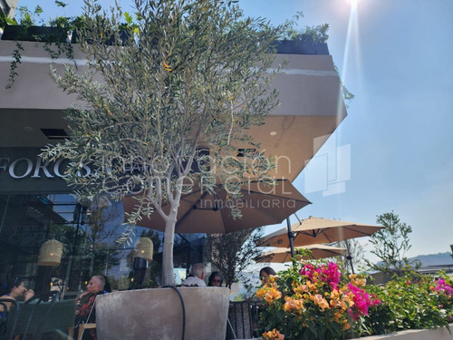 Local En Renta En Jurica, Plaza Depoint, En Planta Alta Con Terraza