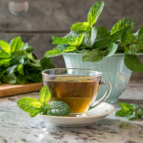 Té De Menta Infusión 25 Bolsitas Akbar