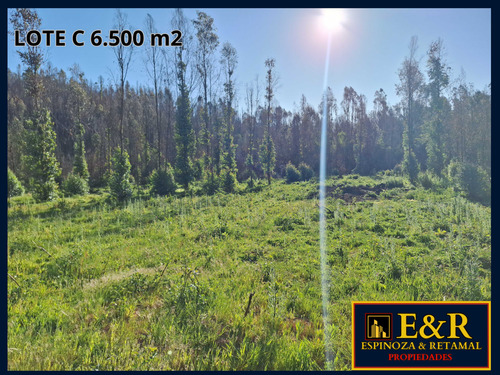 6000 M2 En Colico, Con Ester , Santa Juana (67673)