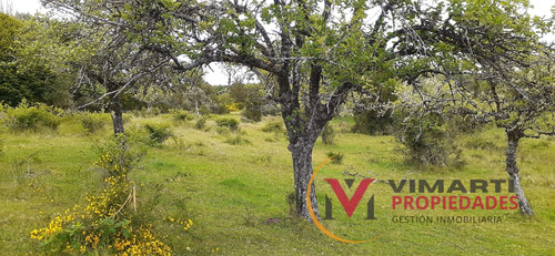 Venta De Terreno De 15 Ha. En Caulín Alto, Comuna De Ancud