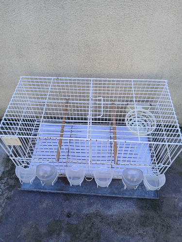Jaula De Cría Canarios Blanco (Usado)
