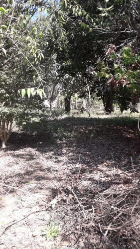 Imagem 12 de 15 de Chácara Para Venda Em Cajamar, Ponunduva, 1 Dormitório, 1 Banheiro, 1 Vaga - A1985_2-1124448