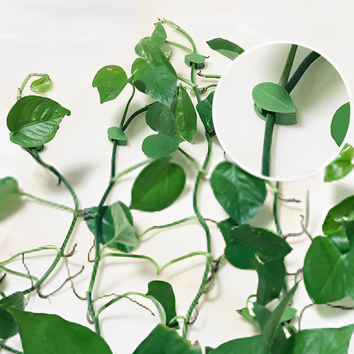 Soportes Para Plantas Trepadoras Clips Para Plantas Trepador