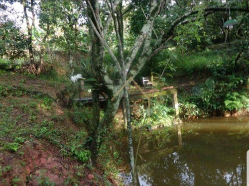 Imagem 15 de 22 de Chácara Com 3 Dormitórios À Venda, 5000 M² - Monte Verde - Americana/sp - Ch0067