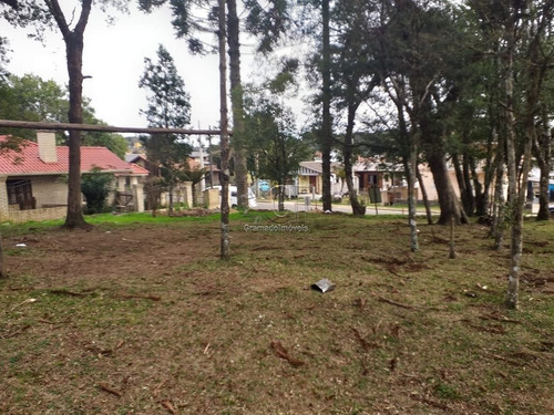 Imagem 3 de 15 de Area - Vila Boeira - Ref: 3576 - V-gi3582
