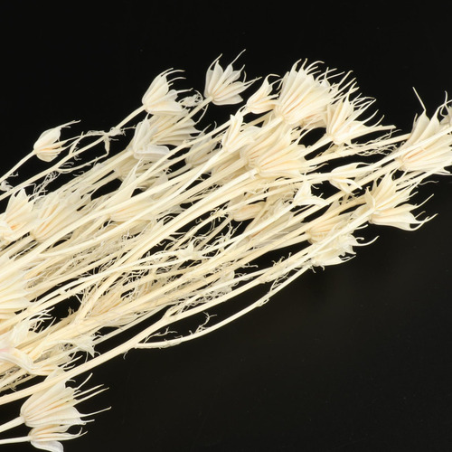 Ramo De Flores De Anisa De Estrellas Secas Naturales Centros