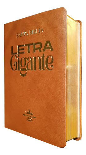 Biblia Rvr 1960 Letra Gigante 14 Pts. Concordancia Café