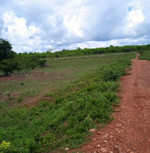 Imagen 9 de 11 de Finca En Altagracia De Orituco- Guarico