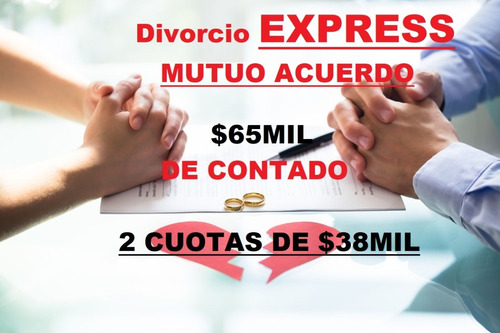 Imagen 1 de 7 de Abogada/labora/civil/despidos/divorcio Express