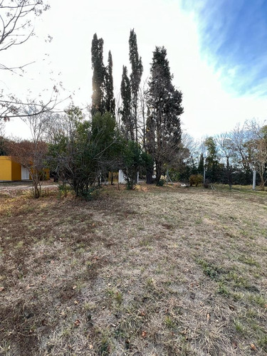 Imagen 5 de 18 de Quinta Barrio Villa Gran Parque Lote Con Propiedad
