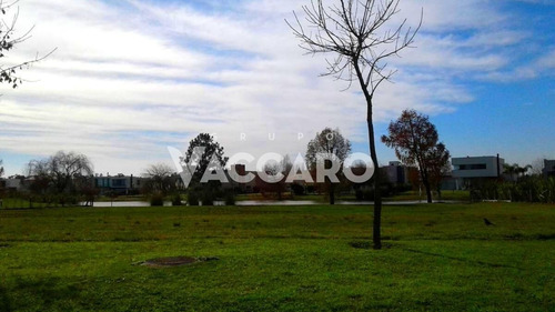 Country Terravista