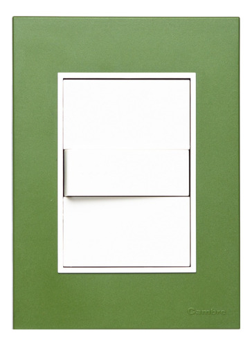 Plaqueta Llave Luz  Bauhaus Mod Simple Y 2mod Ciegos Verde