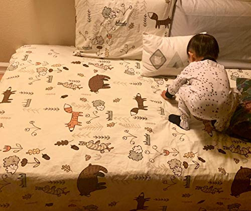 Juego De Edredón Houseri Bear Con Dibujos Animados De Dibujo