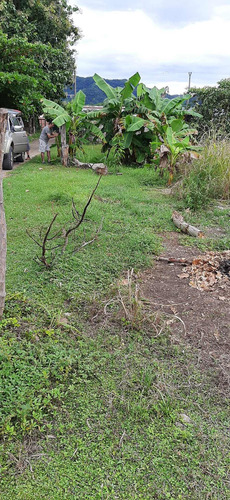 Imagen 10 de 14 de Lote San Pablo De Nandayure