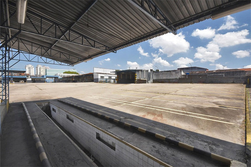 Imagem 17 de 22 de Comercial-são Paulo-lapa | Ref.: Reo459981 - Reo459981