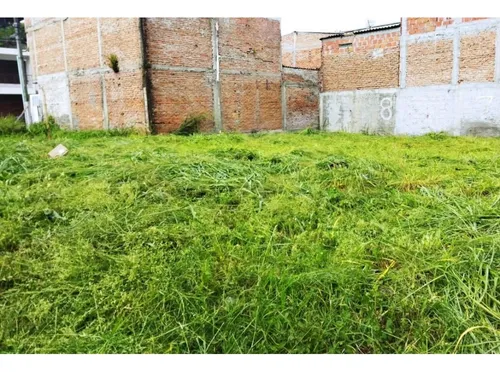 Lote En Venta Palmira Sector Bosque Mz 7