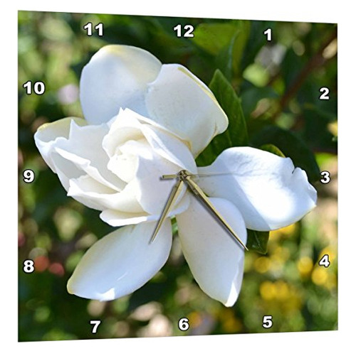 Natures Expression Of Gardenia - Reloj De Pared, 15 X 1...