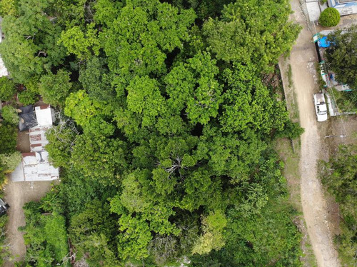 Venta Terreno 2,647 M² En Colonia Escudero Tuxpan Veracruz