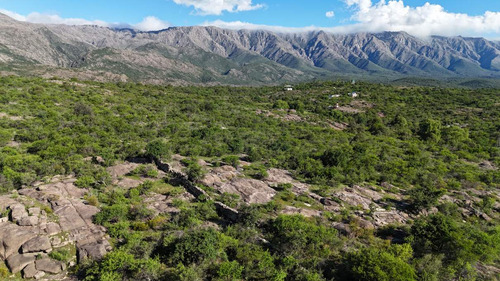 Campo En Venta En Nono, Los Algarrobos