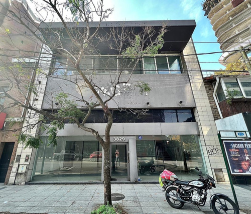 Imagen 4 de 14 de Impresionante Edificio Corporativo Con Varias Oficinas Y Local De 12m. Sobre Libertador.