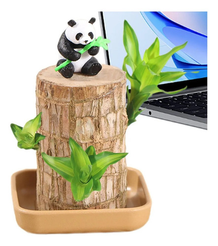 Para Madera De La Suerte Brasileña Con Panda | Set De