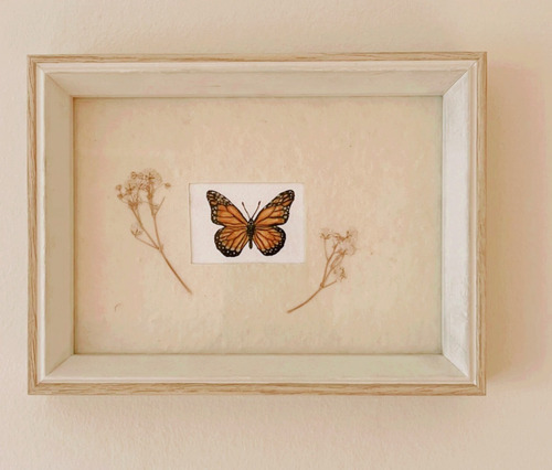 Cuadro Mariposa Acuarela Original Vintage Nursery Infantil