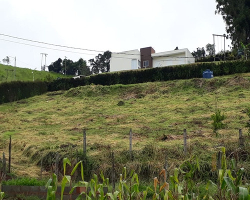 Imagem 4 de 4 de Vendo Chácara Com 2000 M² Em Maria Da Fé, 500 Metros Do Asfalto E Ótima Topografia. - Ch00007 - 69427634