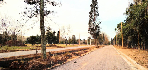Imagen 6 de 16 de Barrio San Jeronimo Lote Terreno Buenos Aires Matheu Escobar