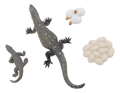 Juguete Educativo Animal Life Cycle, 4 Unidades, Con Forma D
