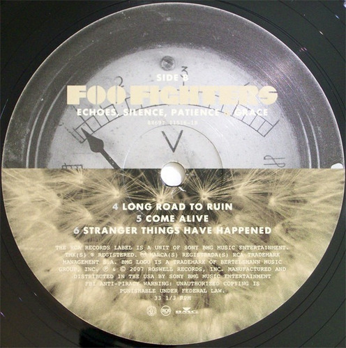 Imagen 3 de 7 de Foo Fighters Echoes, Silence, Patience Vinilo Rock Activity