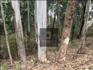 Lindo Lote No Tamboré 1 - Te0222