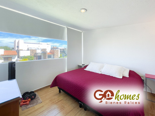 Imagen 11 de 14 de Casa Con Estilo Minimalista, Zona Dorada.